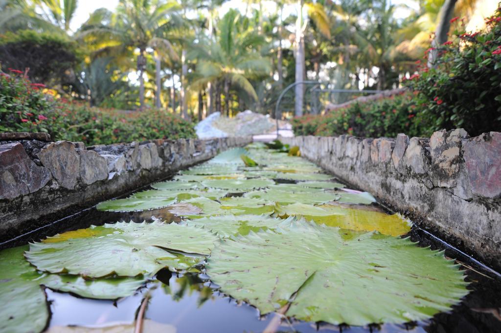 Le Domaine Des Pierres Hotel Saint Pierre Luaran gambar
